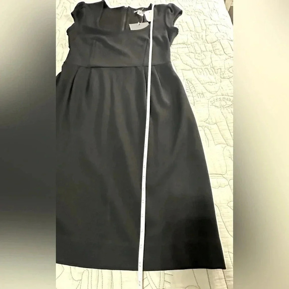 NWT Tegan Size 6 Structured Jersey Cap Sleeve Perfect LBD - Picture 10 of 11
